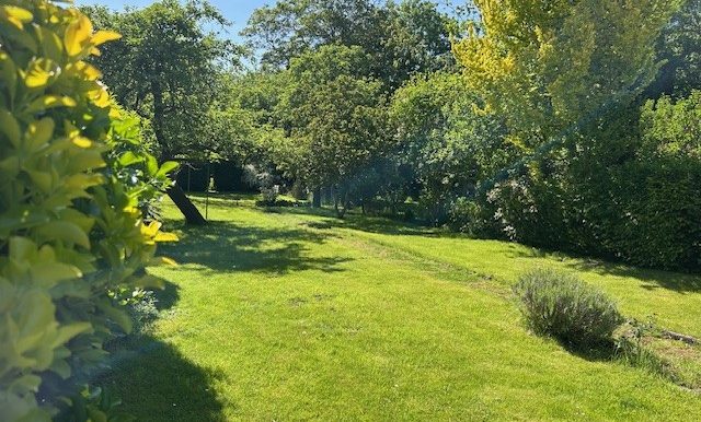 Gartenansicht