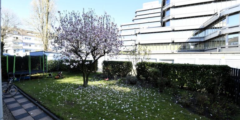 Blick in den Garten