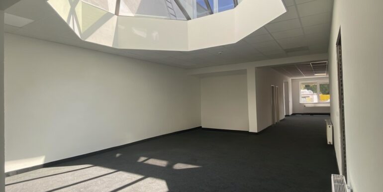 EG Büro