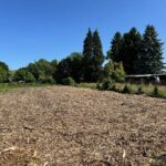 Ansicht 1