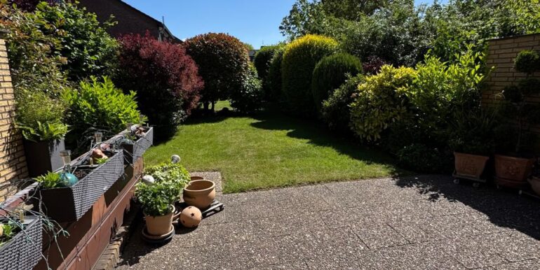 Blick in den Garten