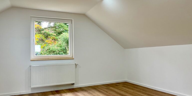 Studio (DG)