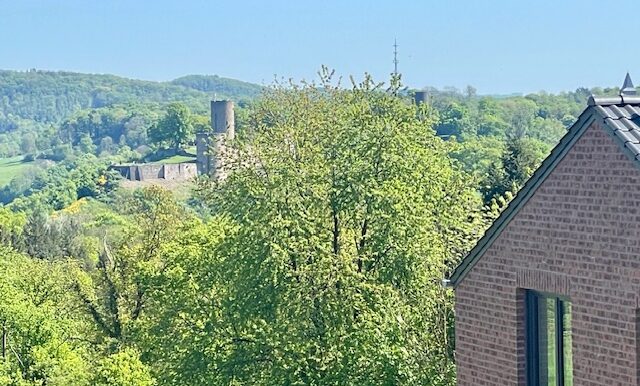 Haushälfte 2 Blick vom Balkon Richtung Blankenberg