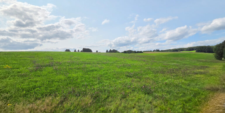 Ausblick in die Umgebung