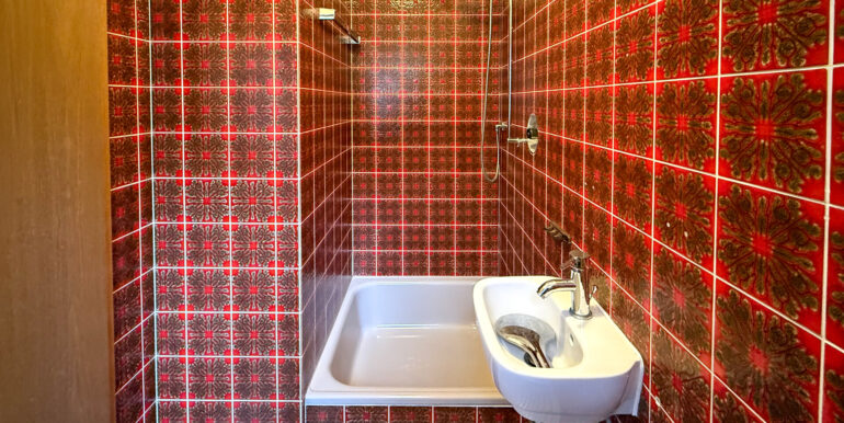 Tageslicht Gäste-Duschbad