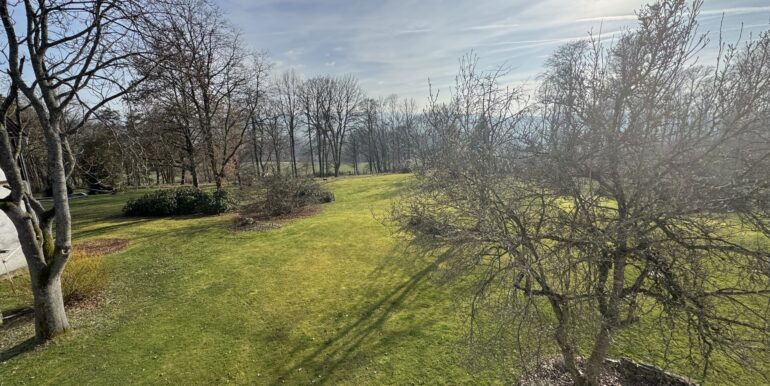 Blick aus dem Studio