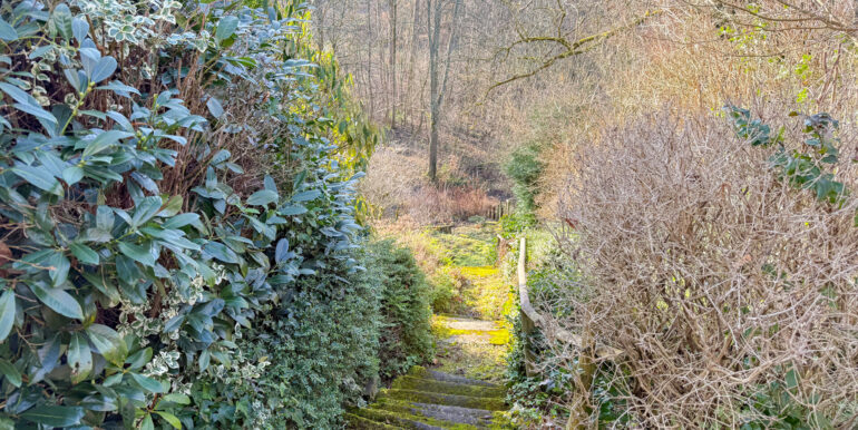 Abgang zum unteren Grundstücksbereich