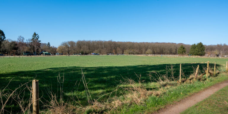 Direkter Zugang zu Feldern
