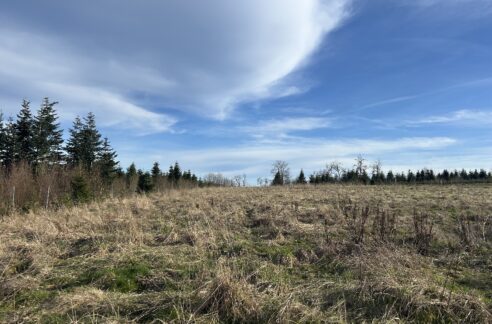 Unverbaubare Naturlage