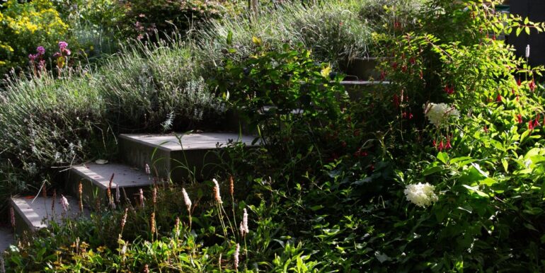 Gartenansicht