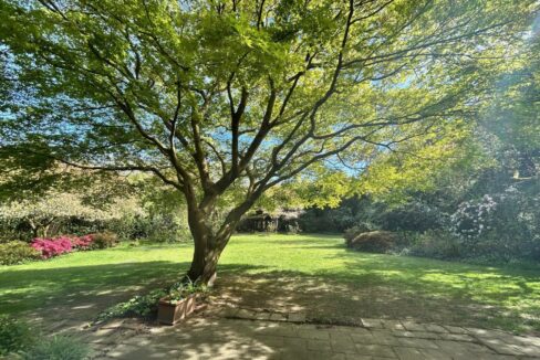 Blick in den Garten