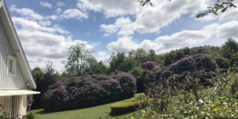 Blühender Garten