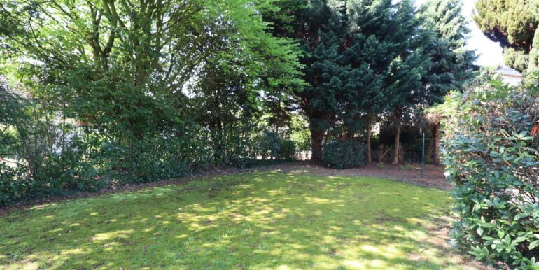 Blick in den Garten