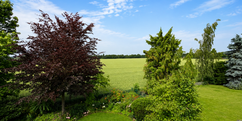 Feldansicht
