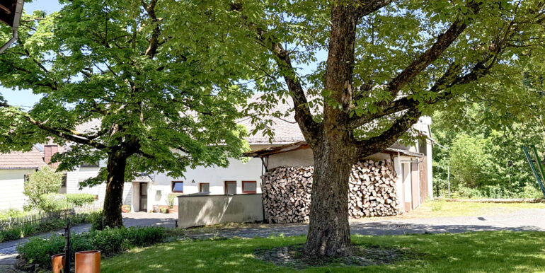 Grünfläche am Haus