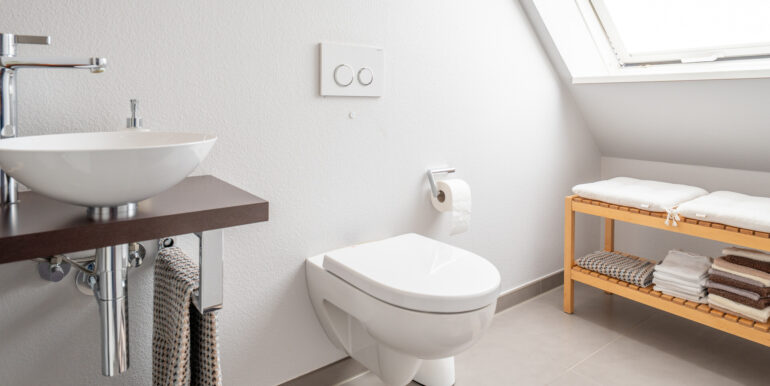 Gäste WC DG
