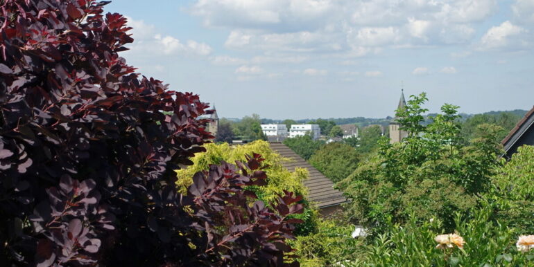 Fernsicht