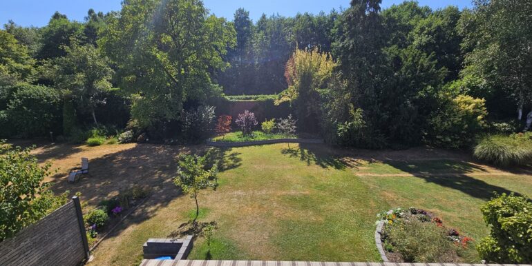 Blick in den Garten