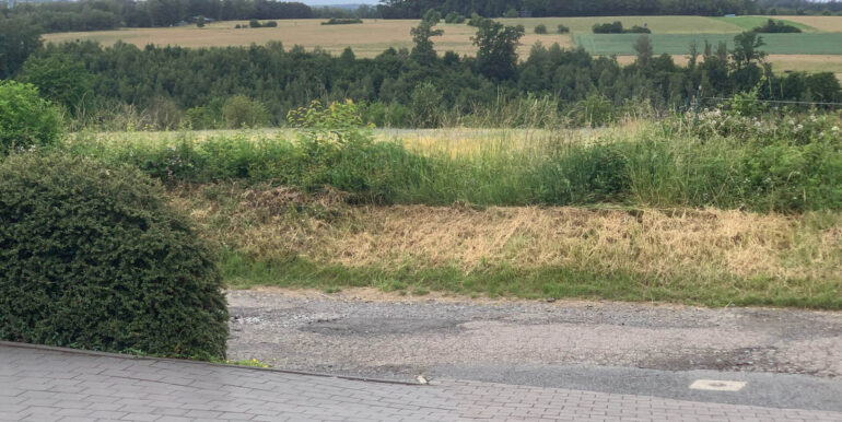 Blick in die Weite