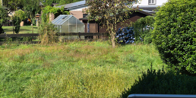 Blick in den Garten