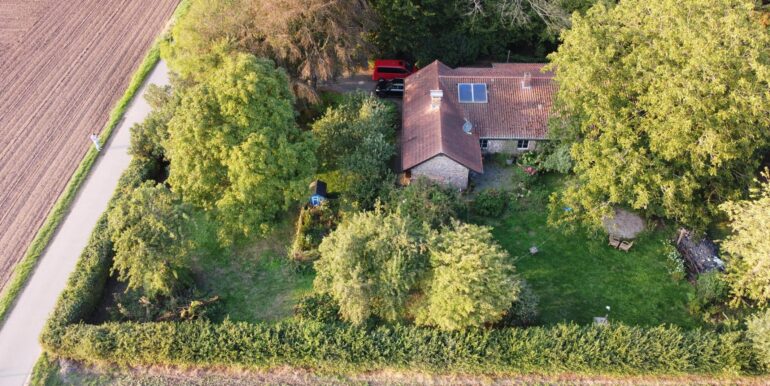 Blick auf Haus  und  Garten