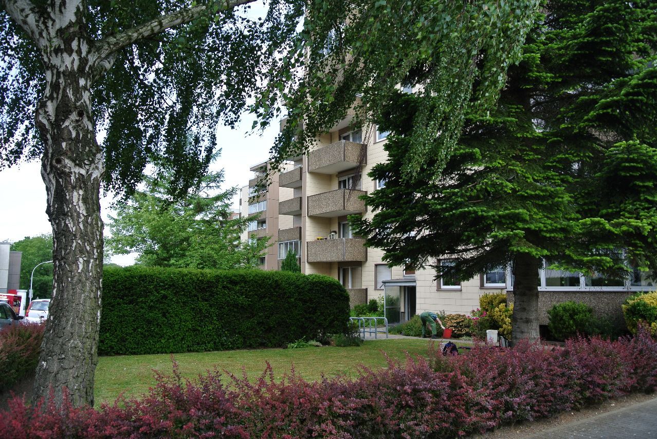 Neu renoviert ! Diese Singlewohnung mit Wintergarten wartet auf SIE ! - Photo 3