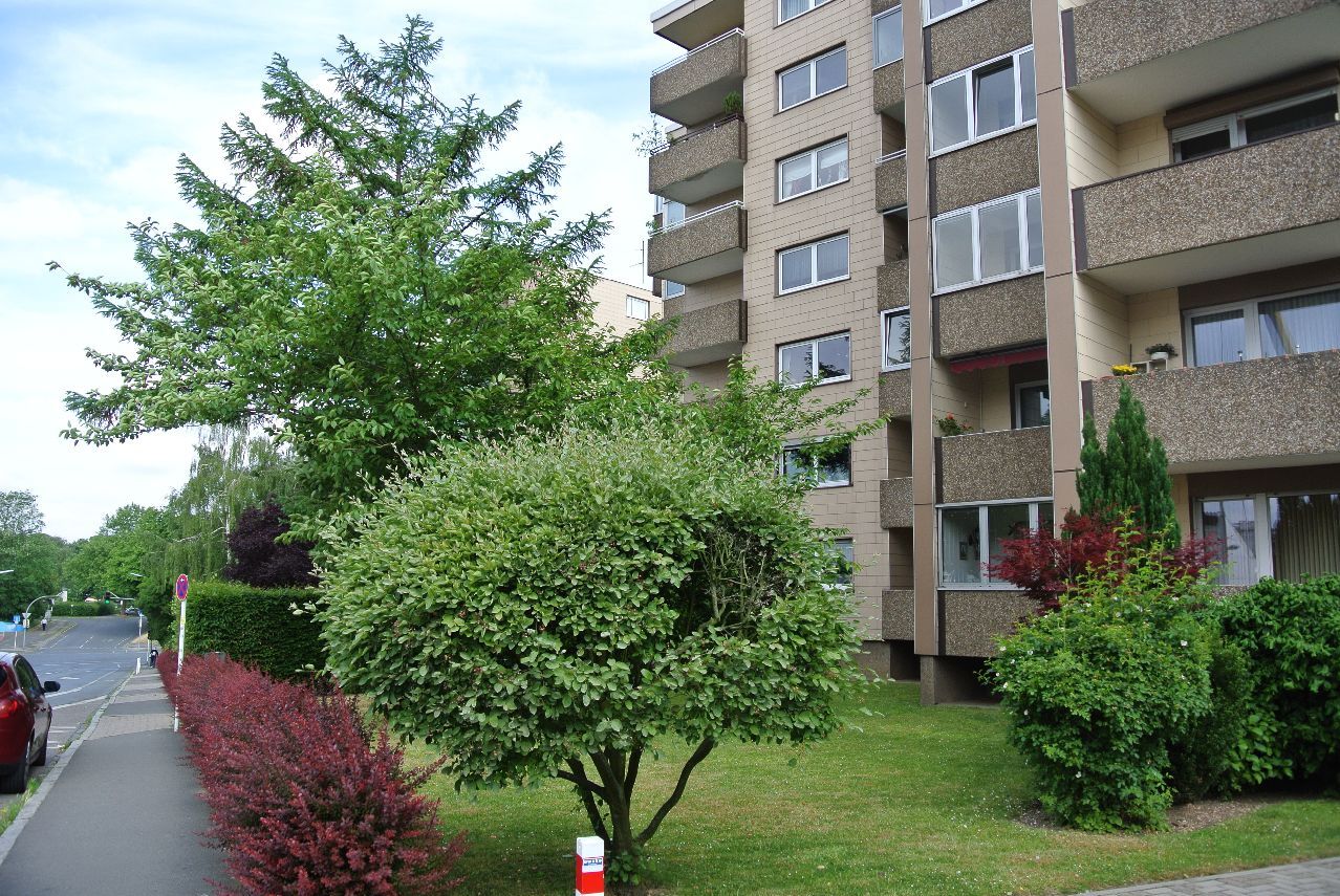 Neu renoviert ! Diese Singlewohnung mit Wintergarten wartet auf SIE ! - Photo 4
