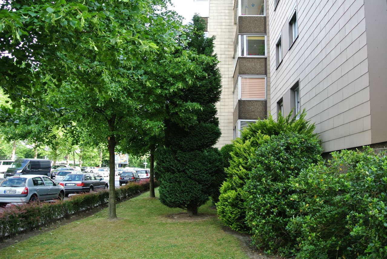 Neu renoviert ! Diese Singlewohnung mit Wintergarten wartet auf SIE ! - Photo 2