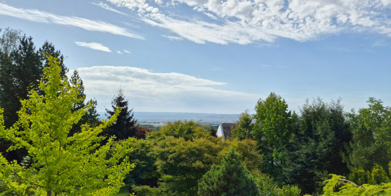 Fernblick