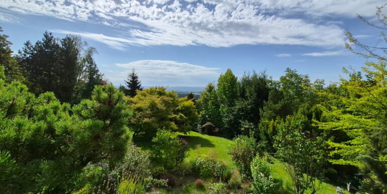 Blick in den Garten