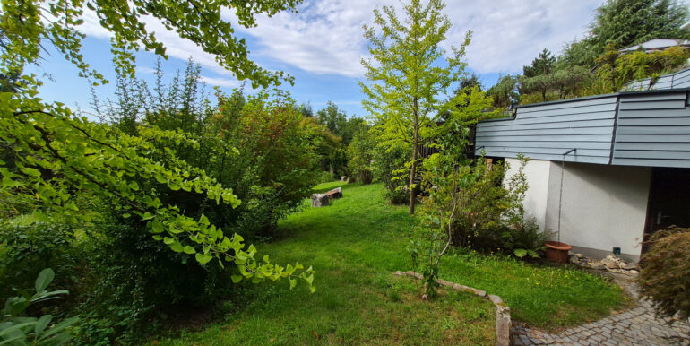Blick in den Garten
