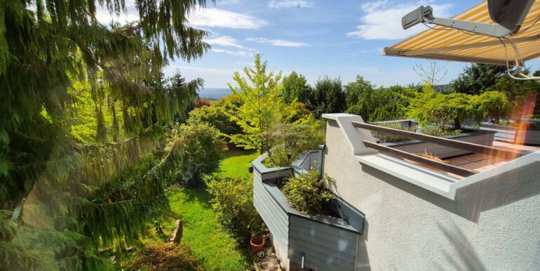 Blick in den Garten