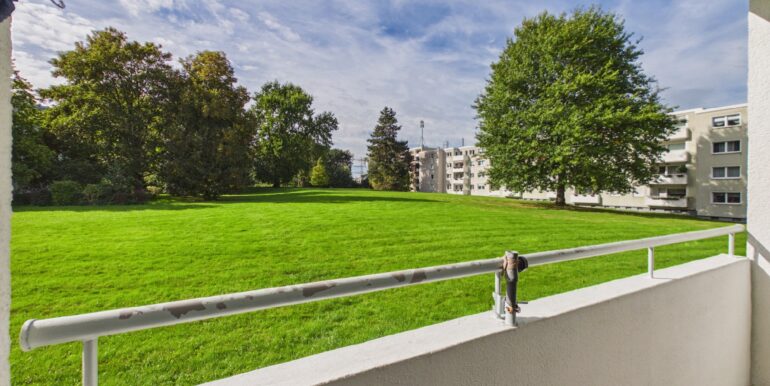 Ausblick ins Grüne
