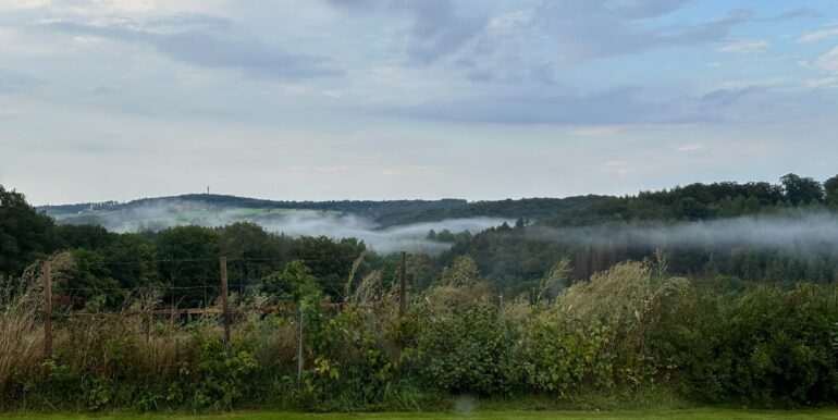 Aussicht Nebel